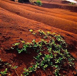 第27届DICE游戏大奖提名名单公布：《漫威蜘蛛侠2》领跑全场